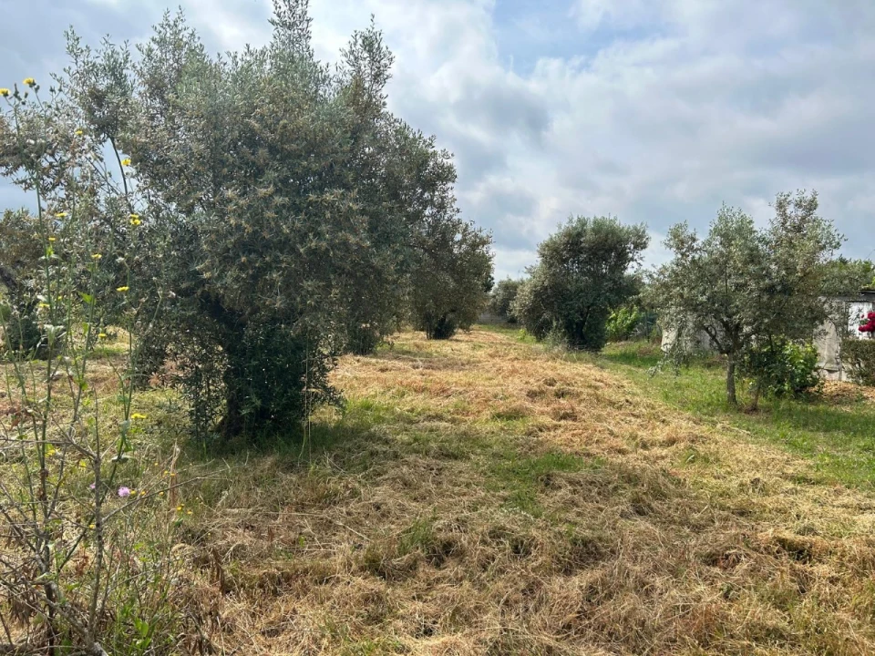 Terreno para Venda em Pego Foto 1