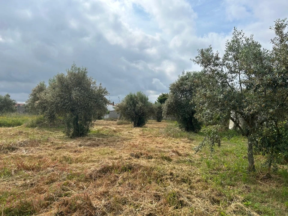 Terreno para Venda em Pego Foto 3