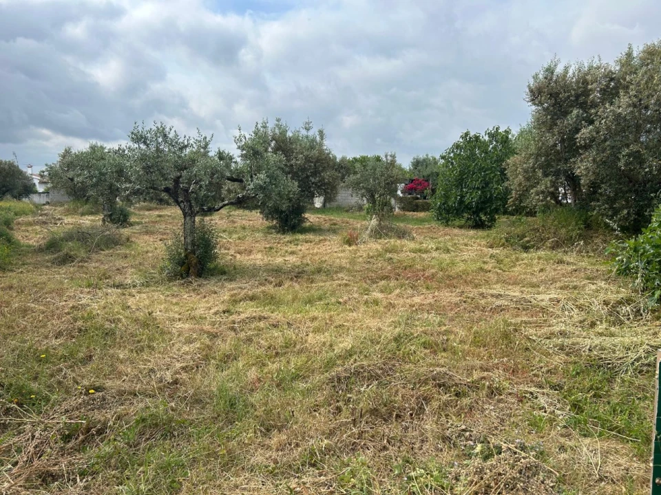 Terreno para Venda em Pego Foto 9
