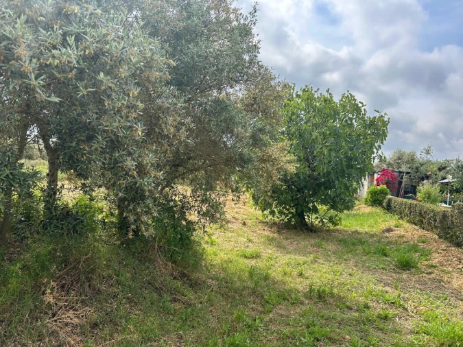 Terreno para Venda em Pego Foto 2