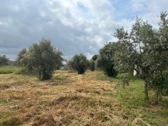 Terreno para Venda em Pego Foto 3