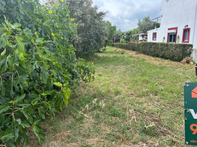 Terreno para Venda em Pego Foto 8