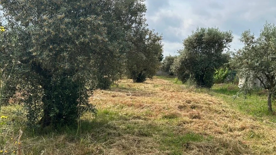 Terreno para Venda em Pego
