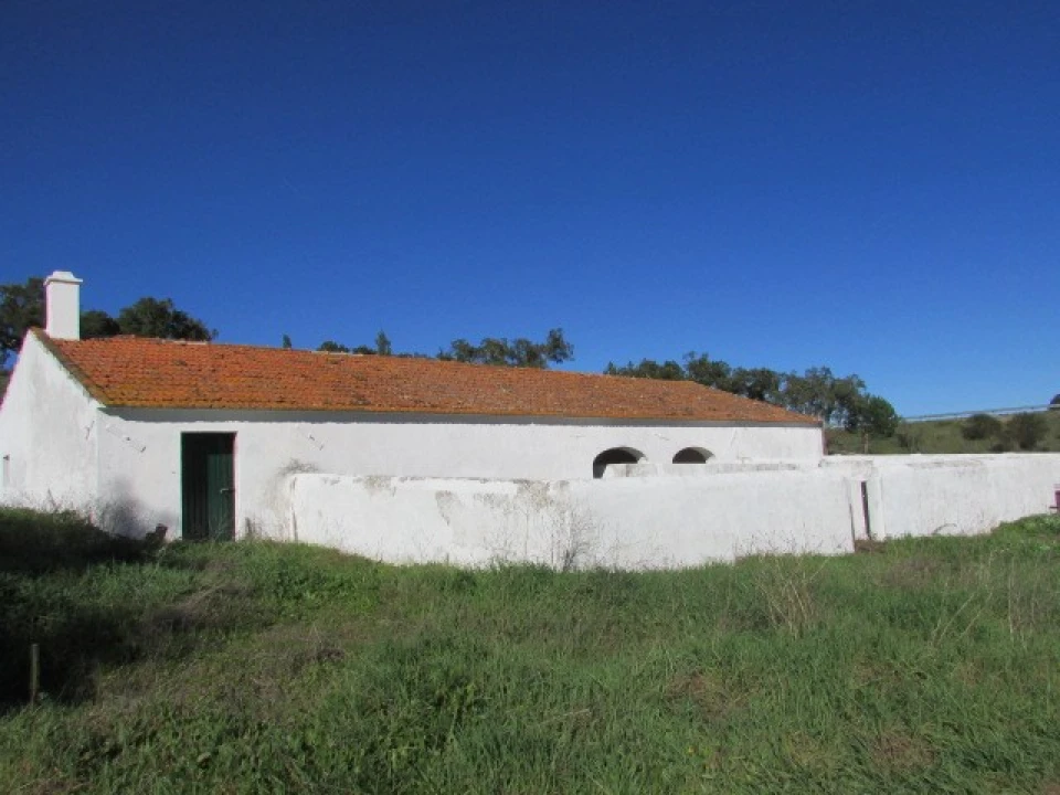 Quinta T5 para Venda em Mora Foto 9