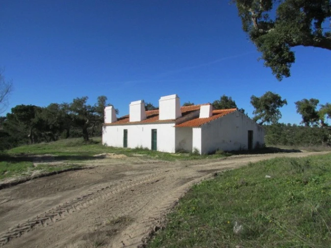 Quinta T5 para Venda em Mora Foto 2