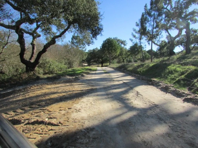 Quinta T5 para Venda em Mora Foto 17