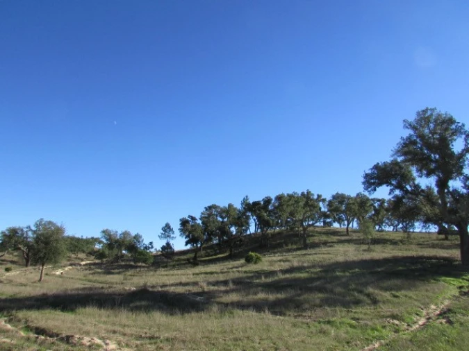 Quinta T5 para Venda em Mora Foto 19