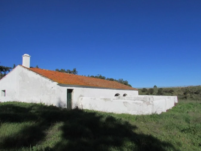 Quinta T5 para Venda em Mora Foto 31