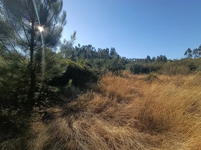 Terreno Agricola ou Rústico para Venda em Alcaravela Foto 4