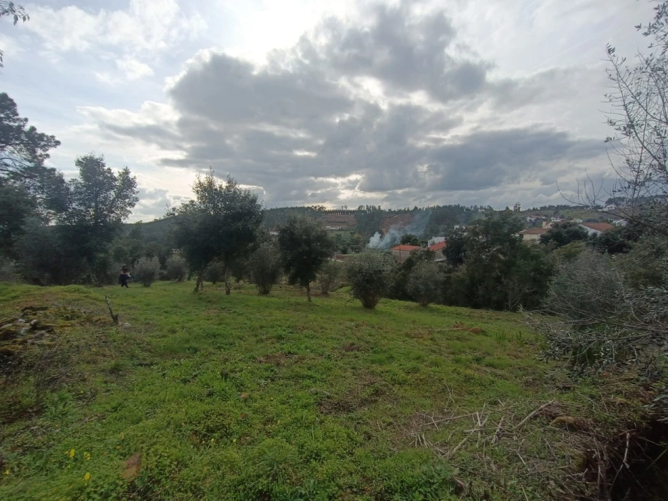 Quinta T3 para Venda em Santiago de Montalegre Foto 24