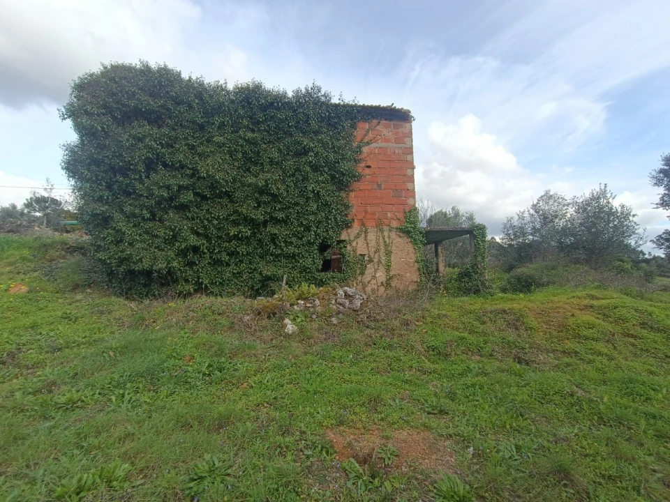 Quinta T3 para Venda em Santiago de Montalegre Foto 26