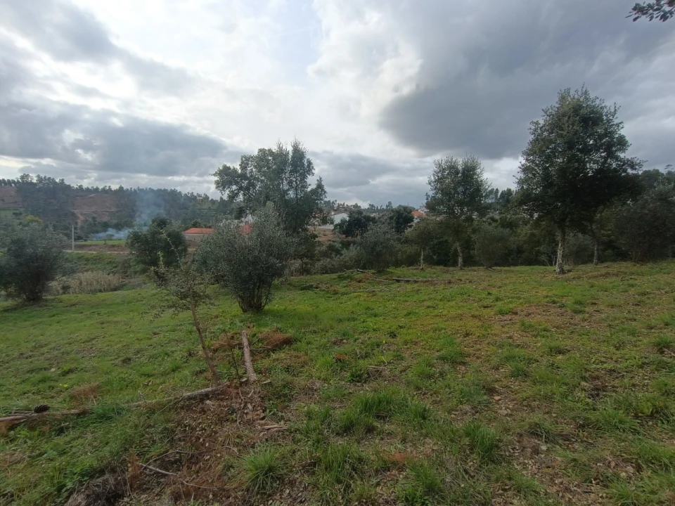 Quinta T3 para Venda em Santiago de Montalegre Foto 29