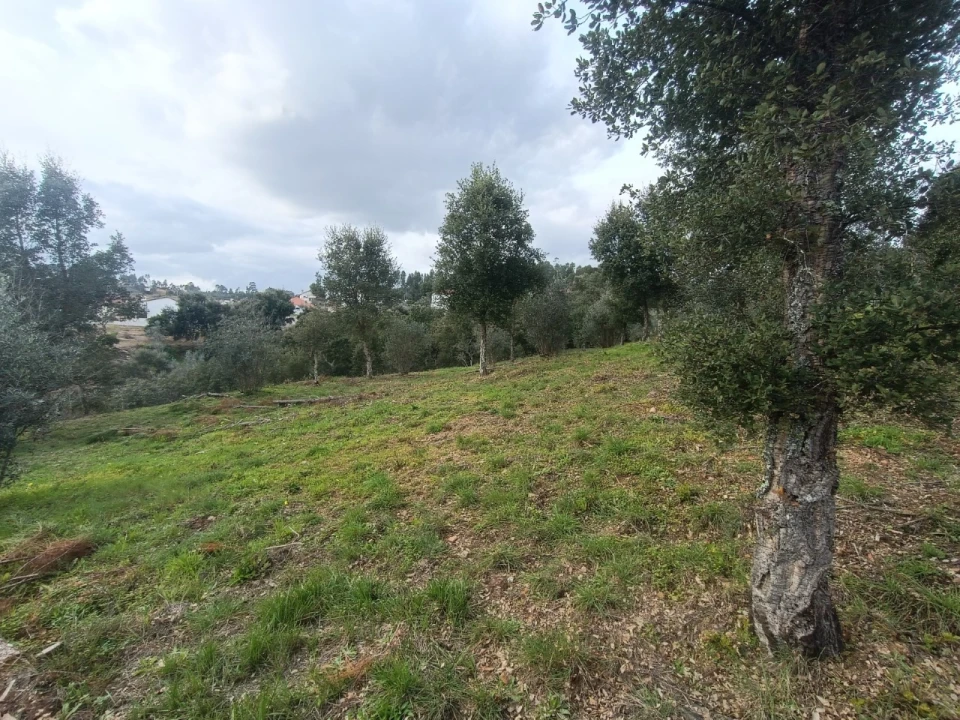 Quinta T3 para Venda em Santiago de Montalegre Foto 31