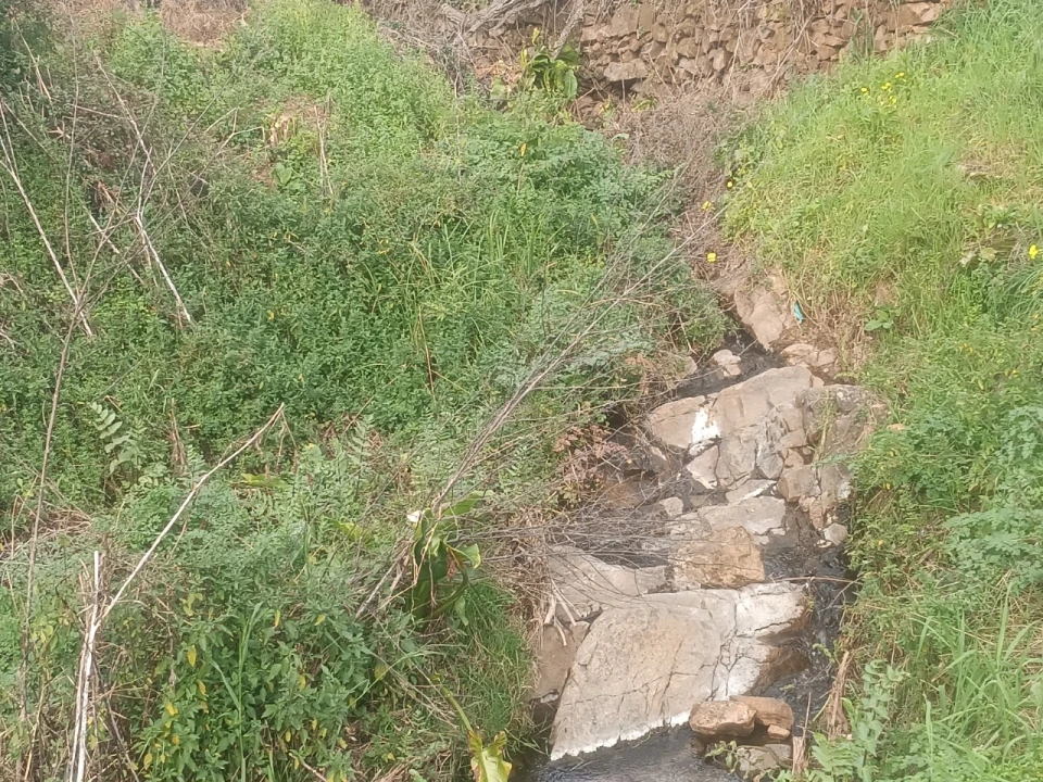 Quinta T3 para Venda em Santiago de Montalegre Foto 41