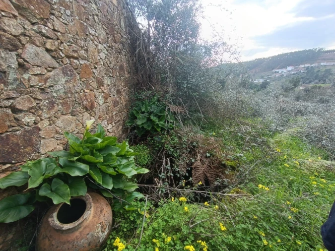 Quinta T3 para Venda em Santiago de Montalegre Foto 23