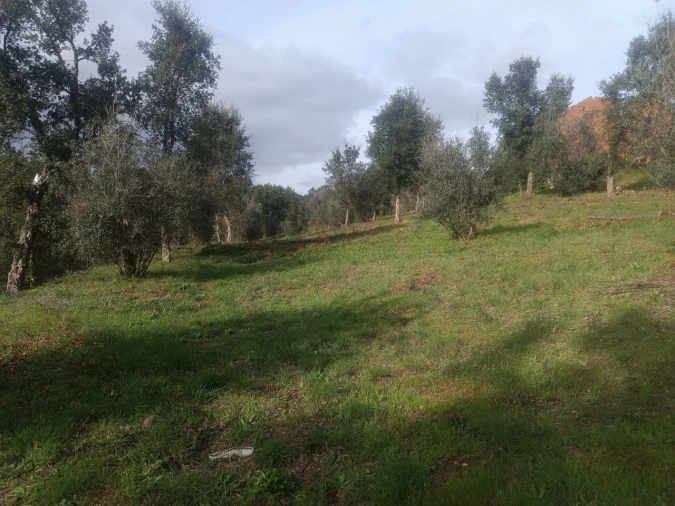 Quinta T3 para Venda em Santiago de Montalegre Foto 36