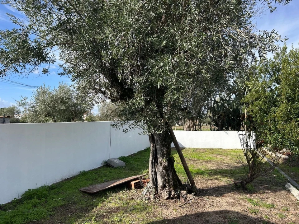 Moradia T3 para Venda em Pego Foto 7