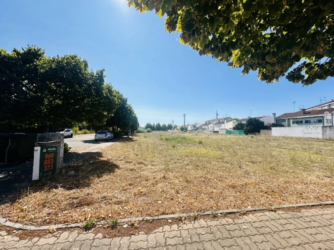 Terreno para Venda em São Miguel do Rio Torto e Rossio Ao Sul do Tejo Foto 4