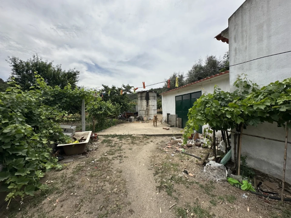 Quinta para Venda em Alvega e Concavada Foto 2