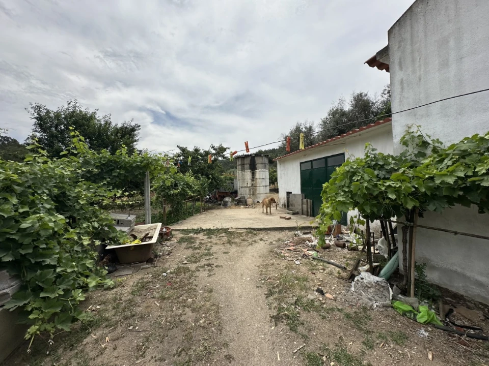 Quinta para Venda em Alvega e Concavada Foto 5