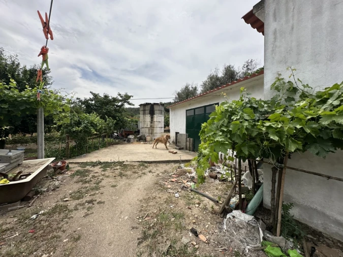 Quinta para Venda em Alvega e Concavada Foto 13