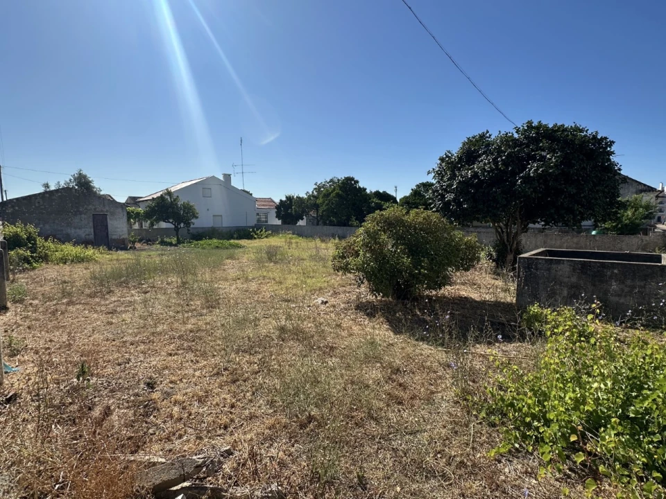 Terreno para Venda em Abrantes (São Vicente e São João) e Alferrarede Foto 2