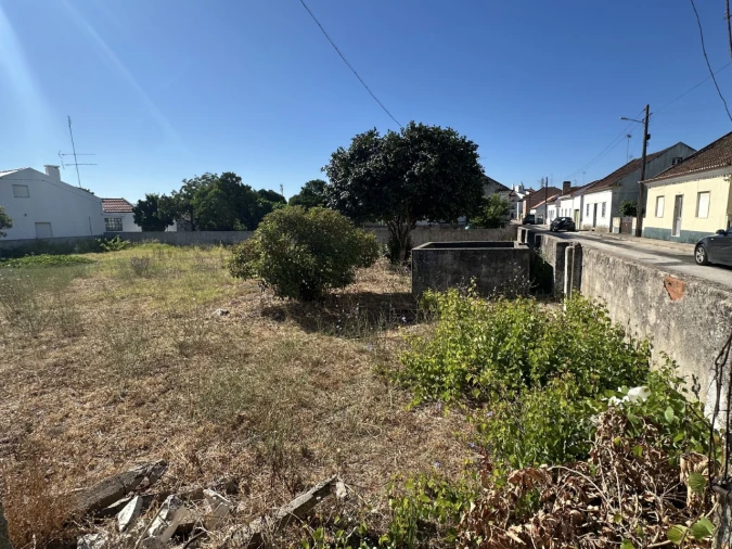 Terreno para Venda em Abrantes (São Vicente e São João) e Alferrarede Foto 9