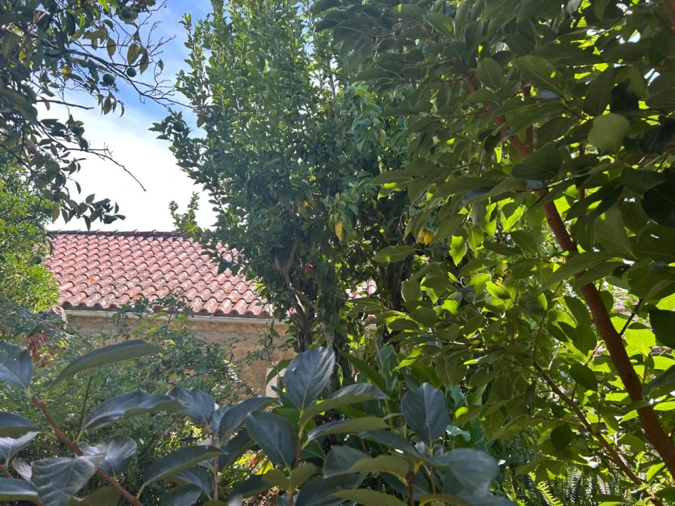 Moradia T3 para Venda em Valhascos Foto 7