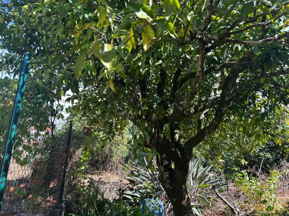 Moradia T3 para Venda em Valhascos Foto 8