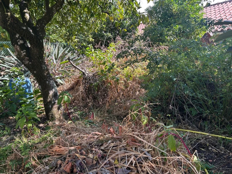 Moradia T3 para Venda em Valhascos Foto 16