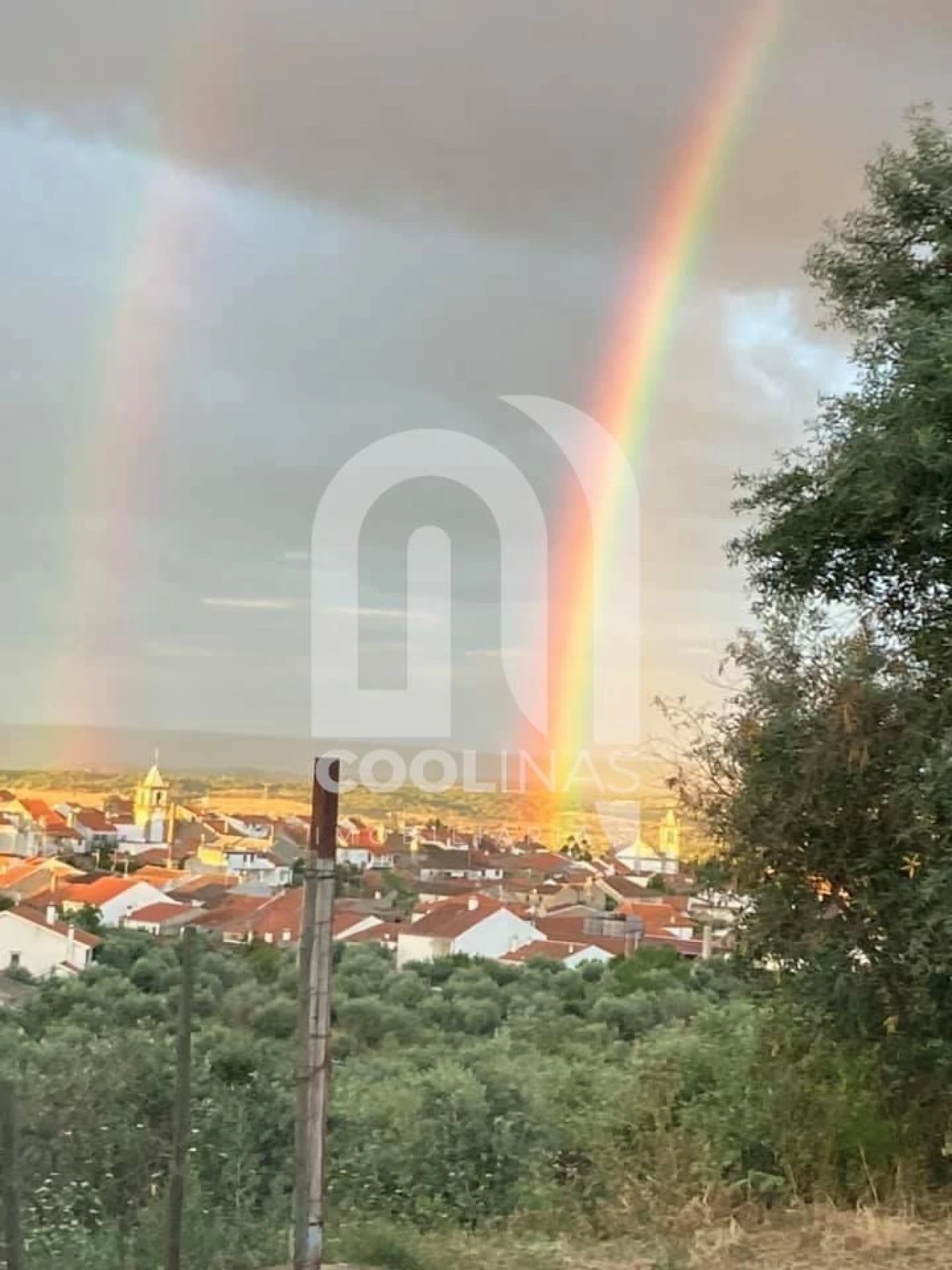 Moradia T7 para Venda em Monforte da Beira Foto 38