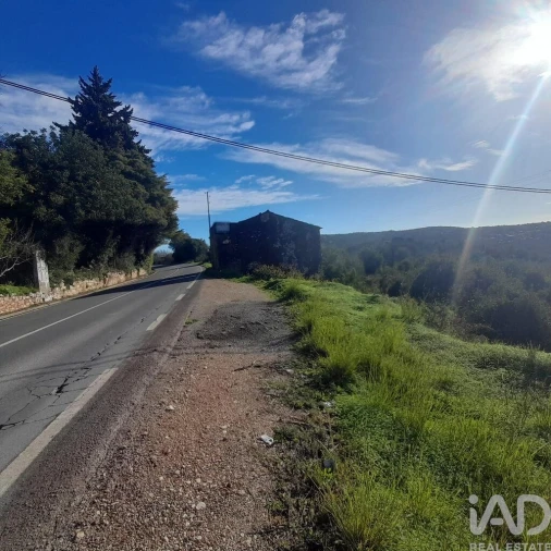 Terreno para Venda em Loule (São Clemente) Foto 3