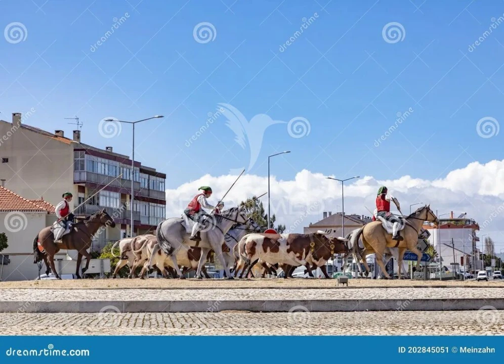 Moradia T4 para Venda em Samora Correia Foto 11