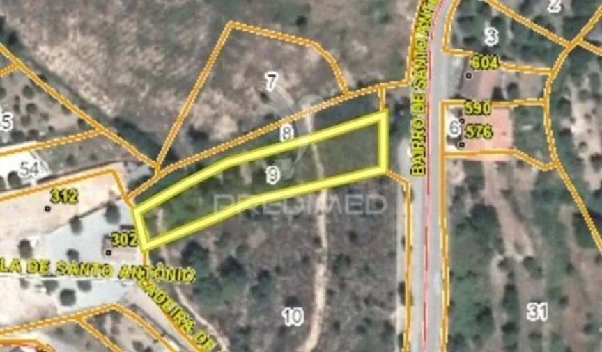 Terreno para Venda em Mação, Penhascoso e Aboboreira Foto 3