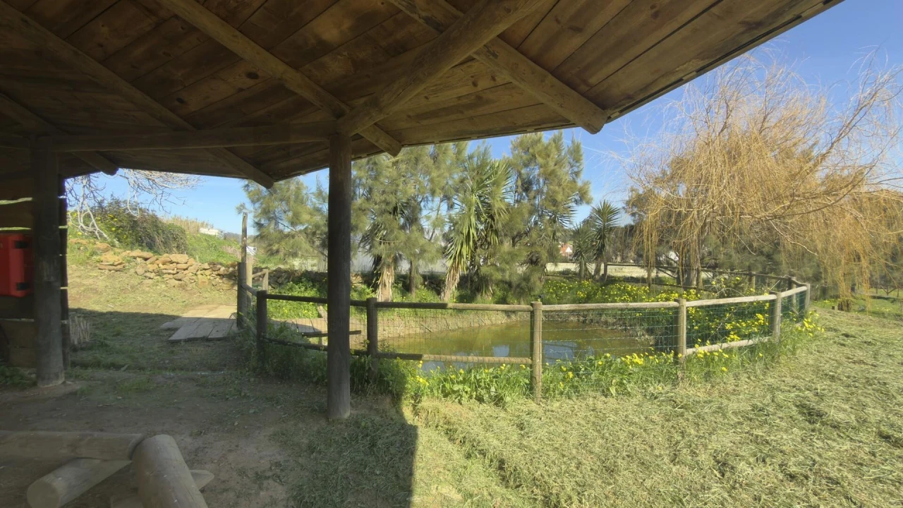 Terreno para Venda em Santo Isidoro Foto 26