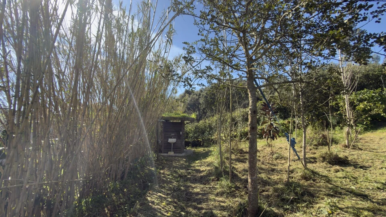 Terreno para Venda em Santo Isidoro Foto 14