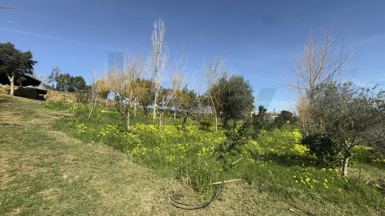 Terreno para Venda em Santo Isidoro Foto 18