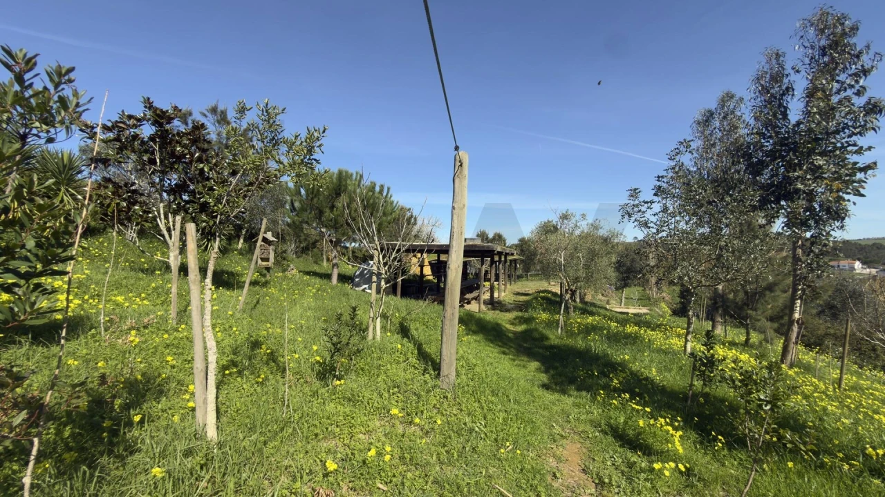 Terreno para Venda em Santo Isidoro Foto 33