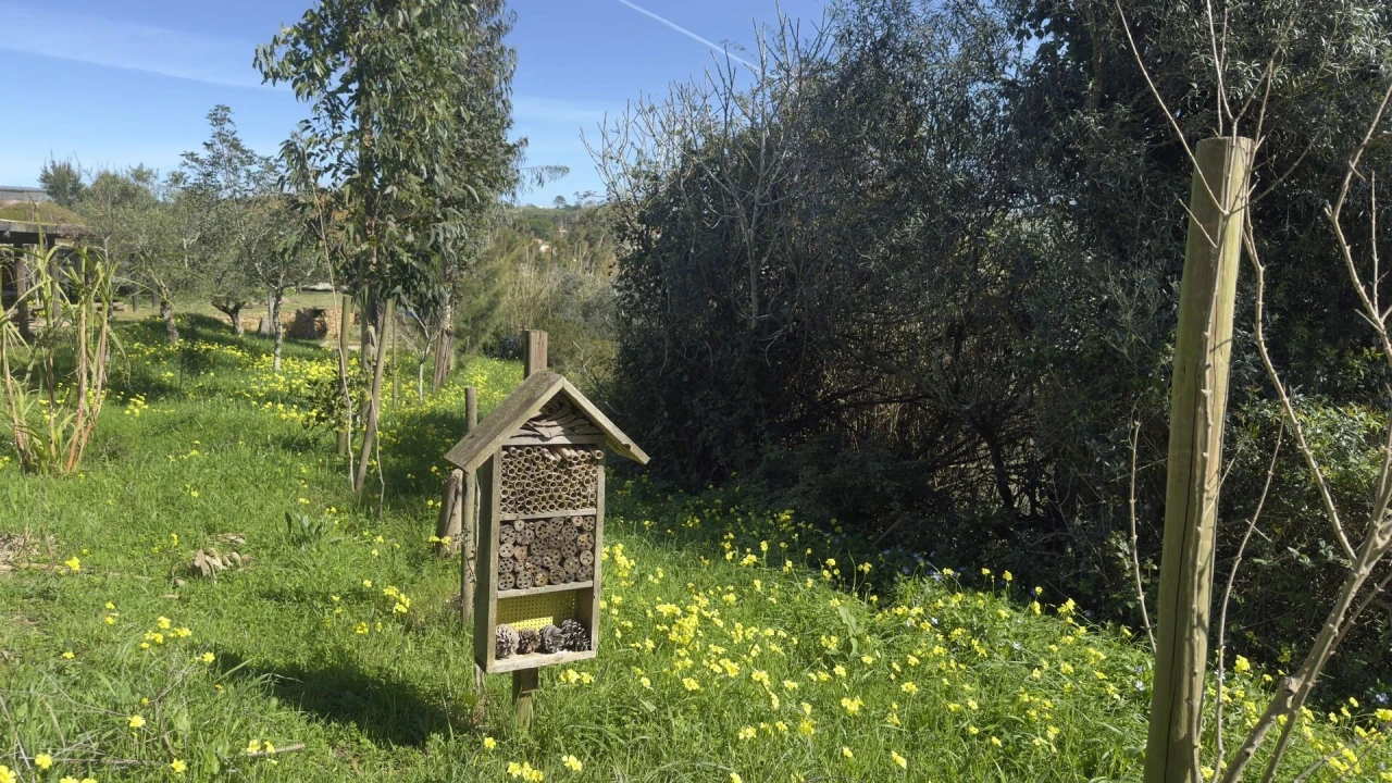 Terreno para Venda em Santo Isidoro Foto 34