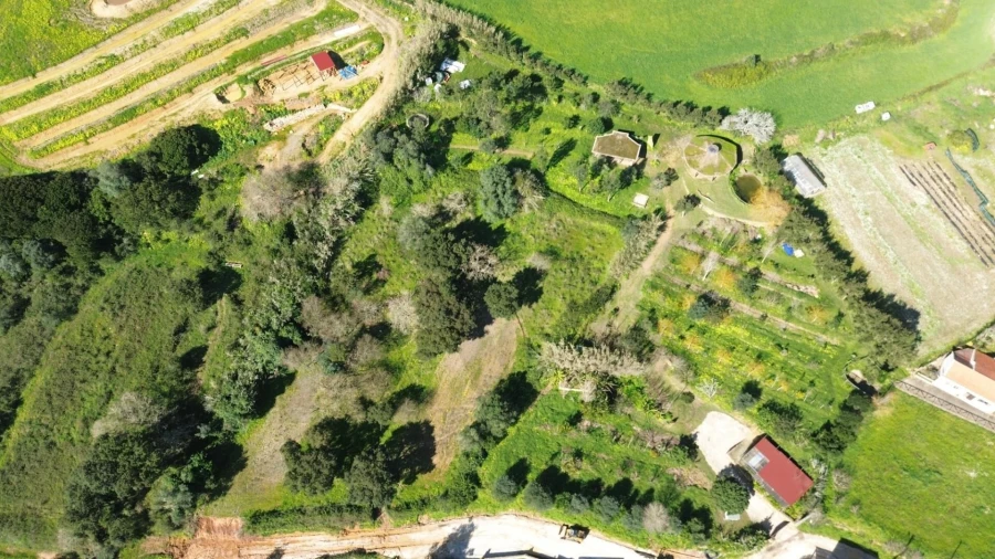 Terreno para Venda em Santo Isidoro Foto 41