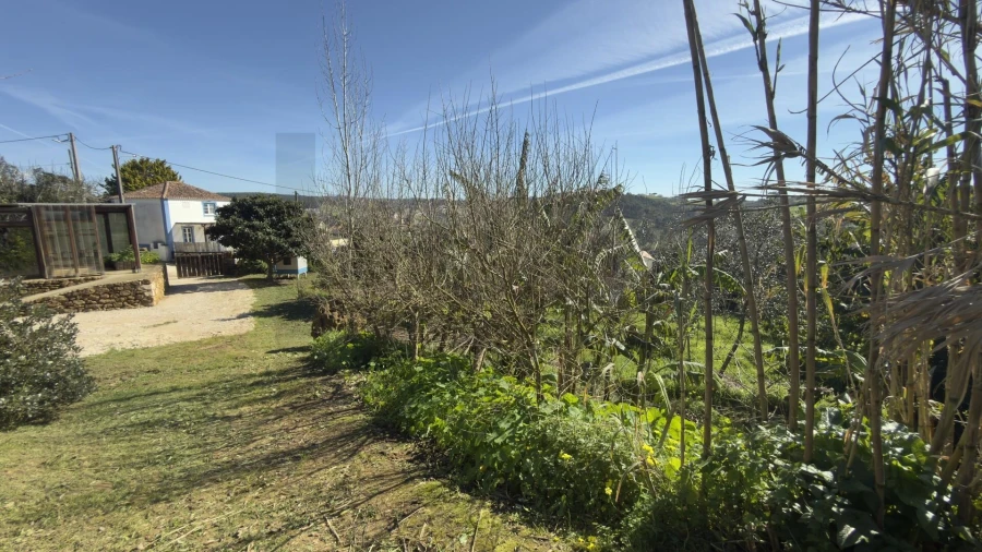 Terreno para Venda em Santo Isidoro Foto 38