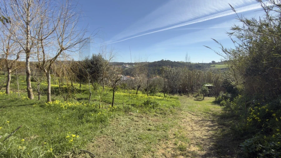 Terreno para Venda em Santo Isidoro Foto 37
