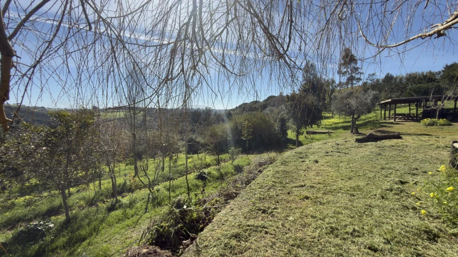Terreno para Venda em Santo Isidoro Foto 29