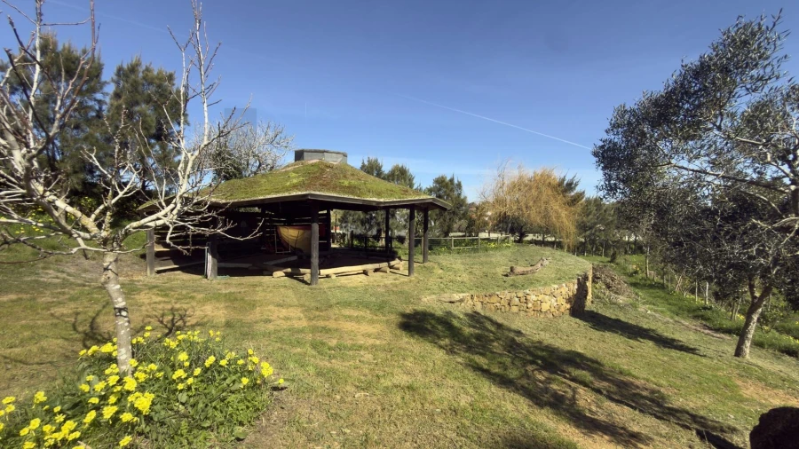 Terreno para Venda em Santo Isidoro Foto 23