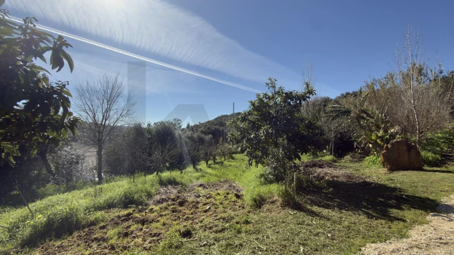 Terreno para Venda em Santo Isidoro Foto 2