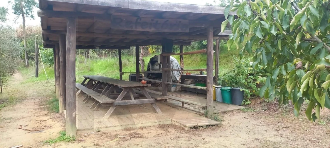 Terreno para Venda em Santo Isidoro Foto 9