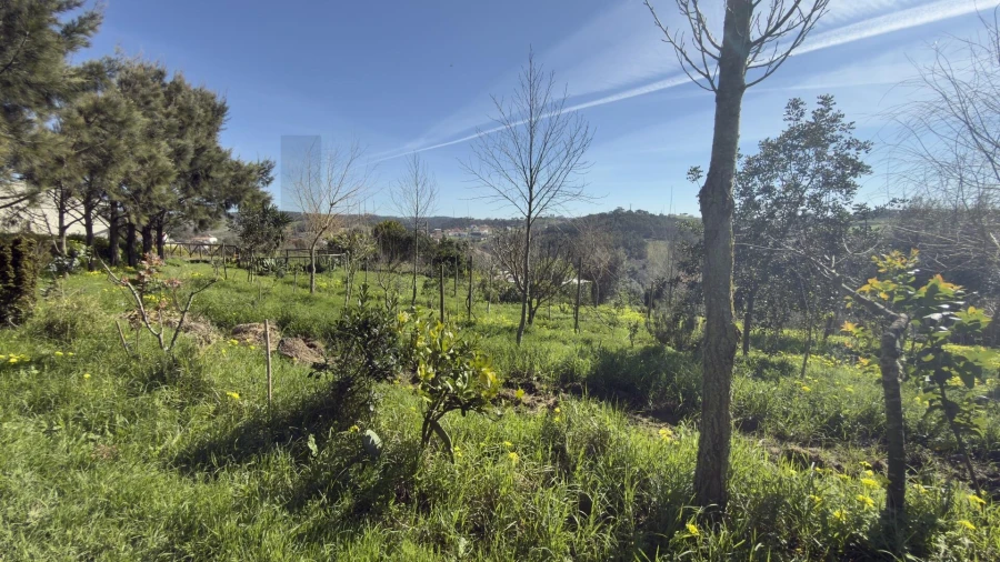 Terreno para Venda em Santo Isidoro Foto 36