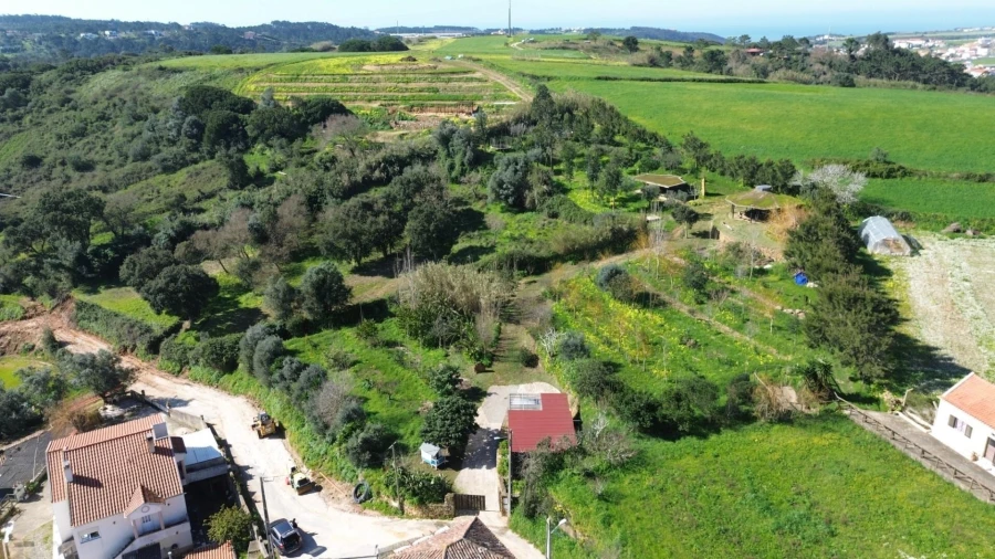 Terreno para Venda em Santo Isidoro Foto 51