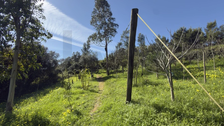 Terreno para Venda em Santo Isidoro Foto 32