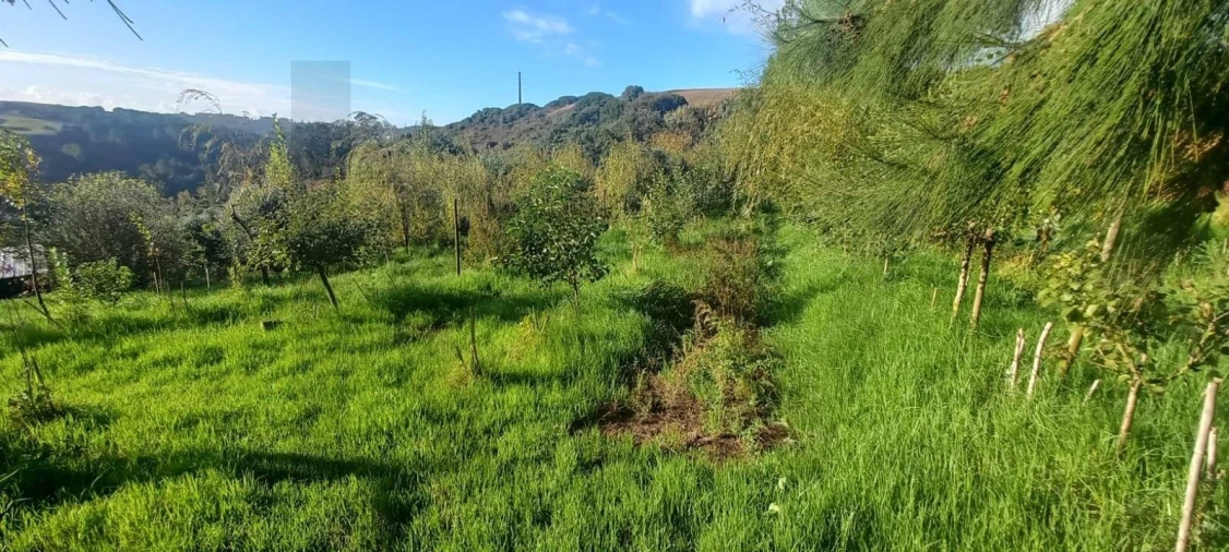 Terreno para Venda em Santo Isidoro Foto 17